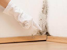 Mold Remediation for Vacation Homes in Tuscumbia, AL